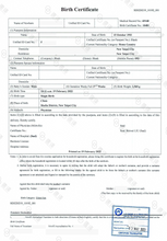 将图片加载到图库查看器,速譯NAATI認證台灣文件翻譯服務