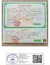 將圖片載入圖庫檢視器 加拿大安省ATIO 中國出生證明翻譯