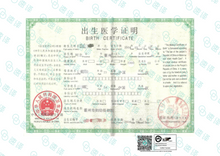将图片加载到图库查看器，墨尔本本地翻译 | NAATI认证 | 可自取
